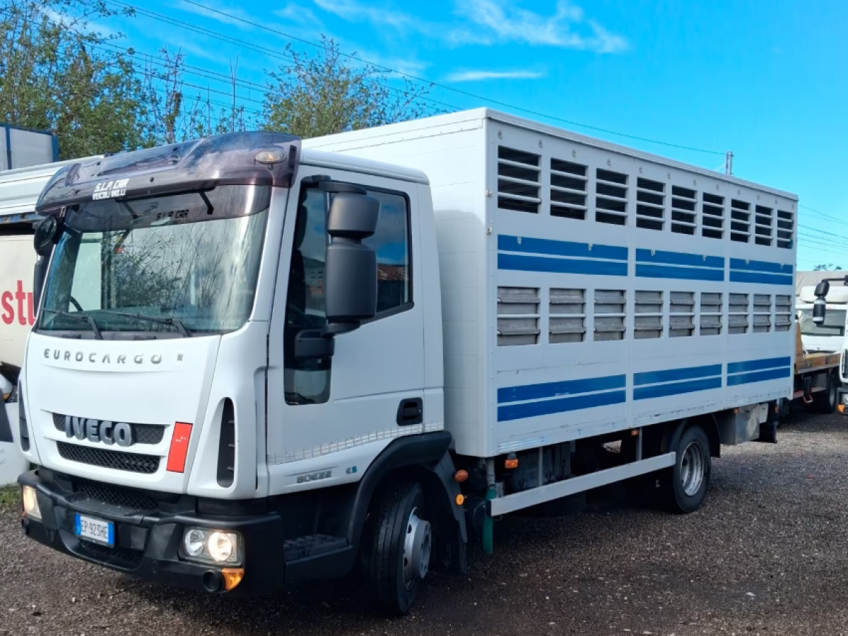 Iveco Eurocargo 80E22 cassa trasporto animali vivi